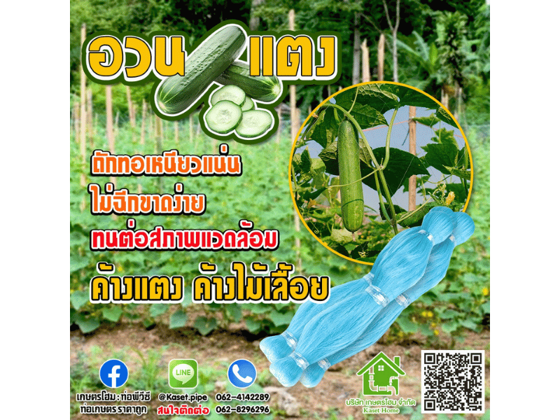 อวนแตง